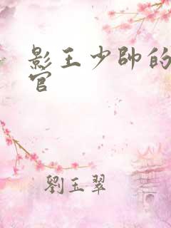 影王少帅的女长官