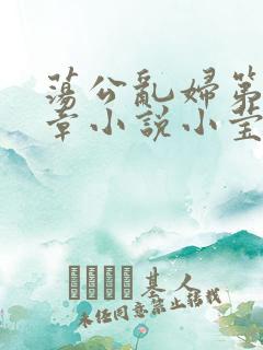 荡公乱妇第51章小说小莹