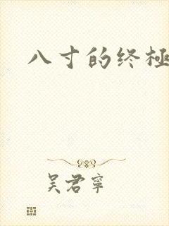 八寸的终极凶器