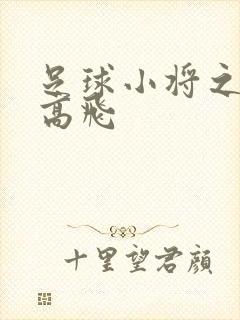 足球小将之展翅高飞