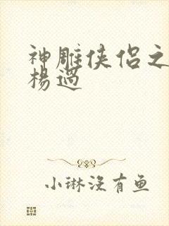 神雕侠侣之我是杨过