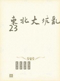 东北大坑乱1—23