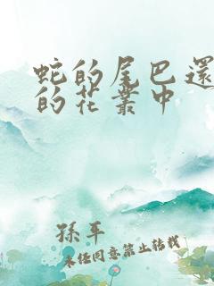 蛇的尾巴还在我的花丛中