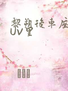 黎朔后车座上SUV里