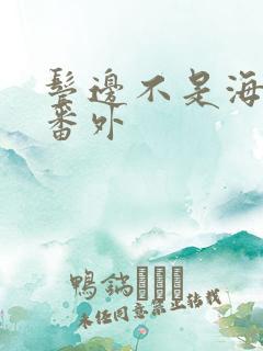 鬓边不是海棠红番外