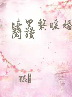 暗黑系暖婚免费阅读