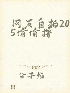 网友自拍2015偷偷撸