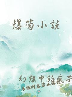 爆菊小说