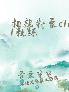 相亲对象c1v1教练