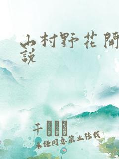 山村野花开 小说