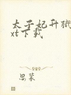 太子妃升职记txt下载