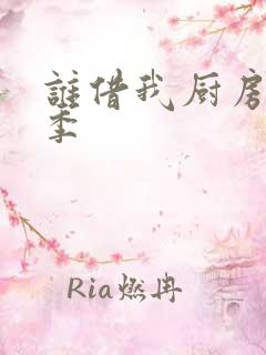 谁借我厨房第三季