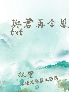 与君再合凤求凰txt