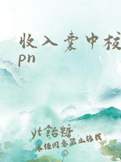 收入囊中校园hpn