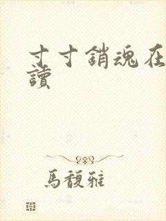 寸寸销魂在线阅读