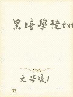 黑暗学徒txt