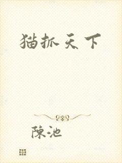 猫抓天下