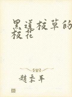 黑道校草的黑道校花