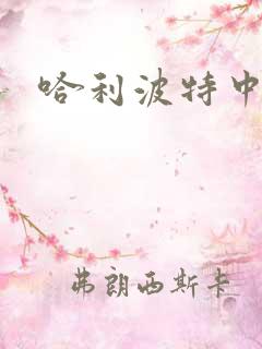 哈利波特中文版