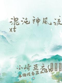 混沌神风流史txt