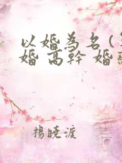 以婚为名 (军婚 高干 婚恋)
