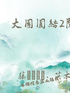 大团圆结2阅读