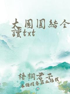 大团圆结全文阅读txt