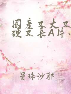 国产又大又粗又硬又长A片小说