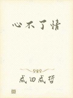 心不了情
