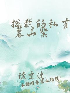 总裁的私有宝贝 暮山紫