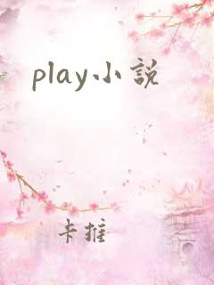 play小说
