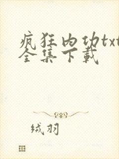 疯狂内功txt全集下载