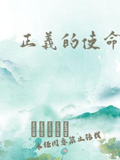 正义的使命小说