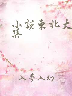 小说东北大炕全集