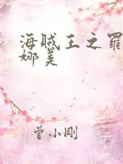 海贼王之罗宾h娜美