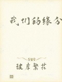 我们的缘分小说