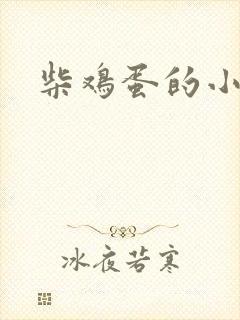 柴鸡蛋的小说