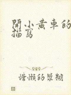 开小黄车的细腻描写