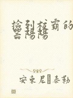 捡到校霸的遥控器阳阳