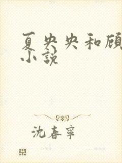 夏央央和顾祁琛小说