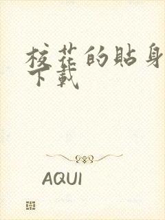 校花的贴身保镖下载