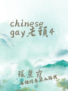 chinesegay老头4
