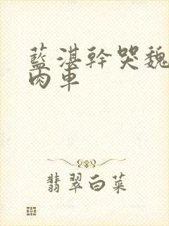 蓝湛干哭魏无羡肉车