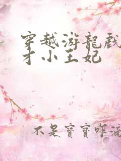 穿越游龙戏凤天才小王妃