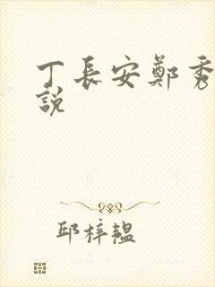 丁长安郑秀兰小说