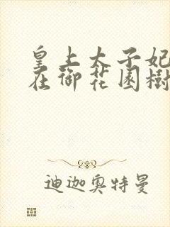 皇上太子妃沈音在御花园树上