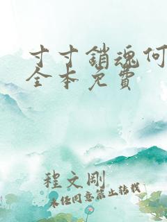 寸寸销魂何生祥全本免费