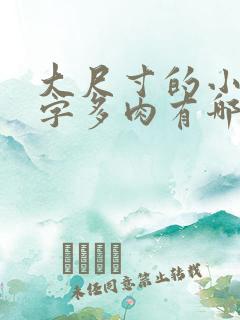 大尺寸的小黄说字多肉有哪些