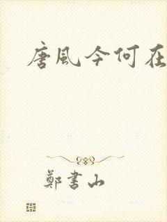 唐风今何在