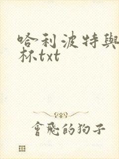 哈利波特与火焰杯txt